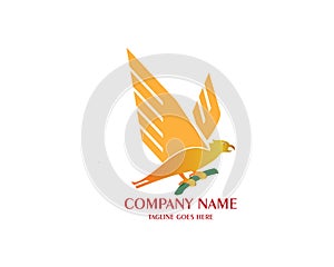 Abstract And Unique eagle vector design template. An exotic bird on white backgroundÂ 